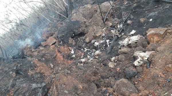 Fauna afectada tras incendio en el Parque Guasu - Nacionales - ABC Color