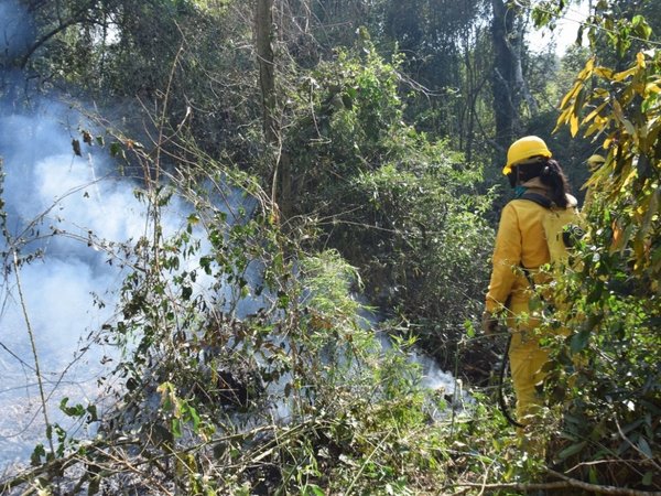 Lluvias ayudan a controlar incendio en el Parque Nacional de Caazapá