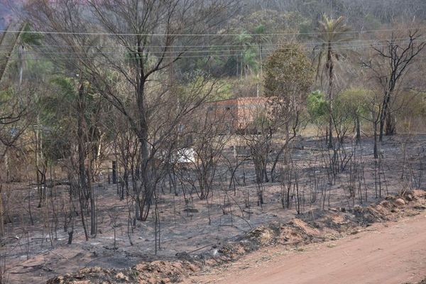 Lluvias aplacan incendios en Bolivia - Mundo - ABC Color