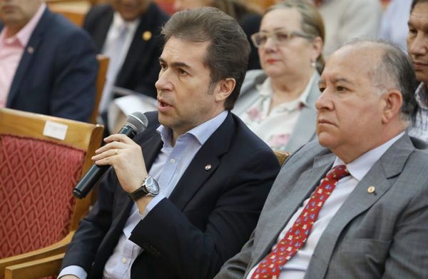 Galaverna remplaza a Gneiting en directorio de ANR