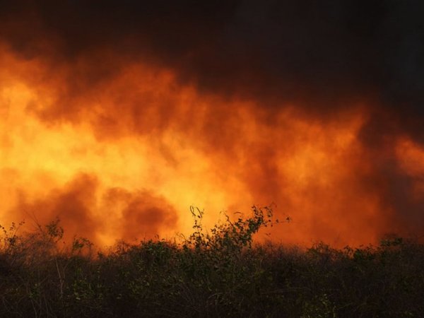 Piden a Marito solicitar a Bolivia resarcimiento por incendios