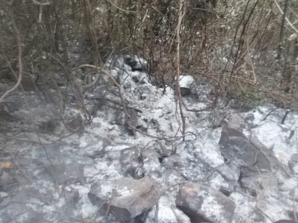 Se extingue incendio de cerro Mbocayaty en La Colmena