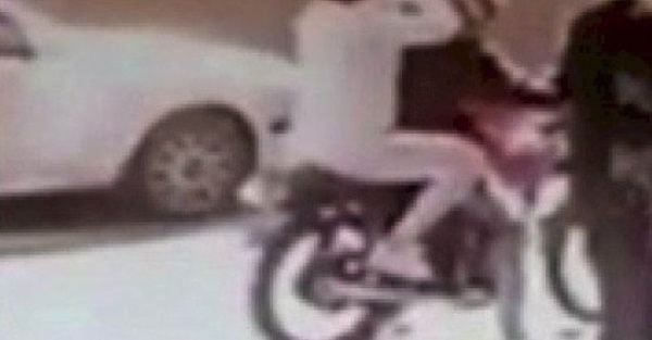 Ex senadora se escapó de la cárcel en moto