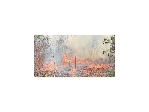 Pese a lluvia, siguen focos activos en San Rafael y arde campo en San Pedro