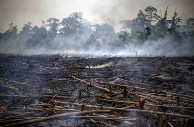 Mueren niños por los incendios amazónicos