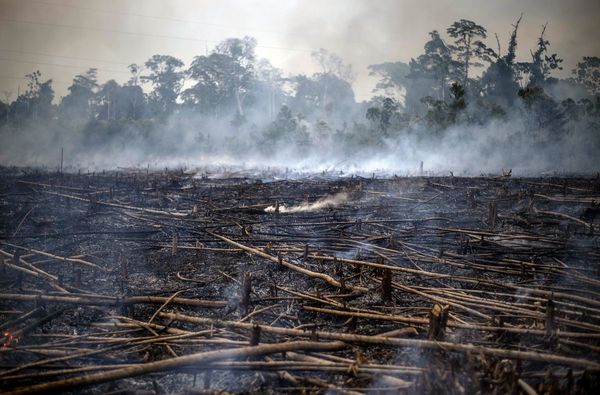 Mueren niños por los incendios amazónicos