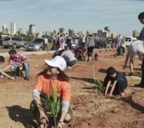 Vandalizan árboles de Costanera - Paraguay.com