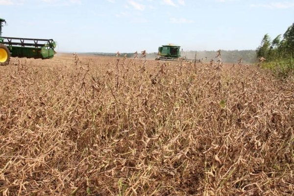 HOY / Lluvias son insuficientes para cultivar y hay malos pronósticos para el agro
