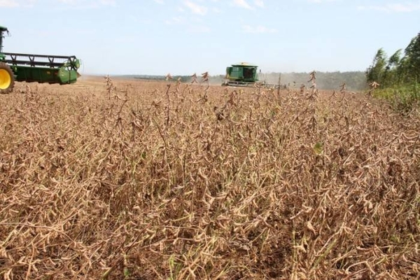 HOY / Lluvias son insuficientes para cultivar y hay malos pronósticos para el agro