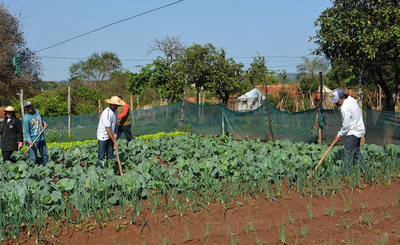 Internos de Villarrica producen alimentos para autoconsumo » Ñanduti