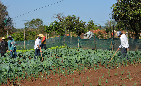 Internos de Villarrica producen alimentos para autoconsumo » Ñanduti