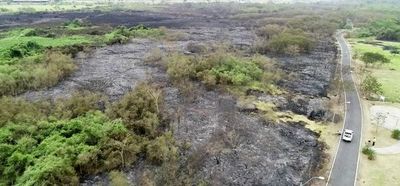 Responsable de incendio en Parque Guasu se expone a pena de hasta 8 años de cárcel - Nacionales - ABC Color