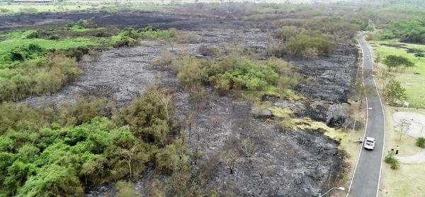 Responsable de incendio en Parque Guasu se expone a pena de hasta 8 años de cárcel - Nacionales - ABC Color