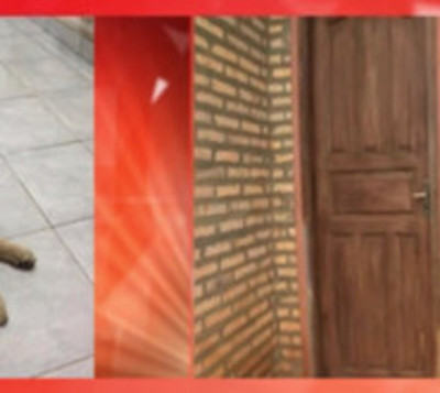 Hurtan de todo en vivienda de Luque, hasta al perro - Paraguay.com