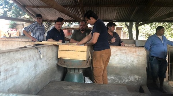 Potencian rubros pecuarios en el Departamento de Bocaya, Colombia