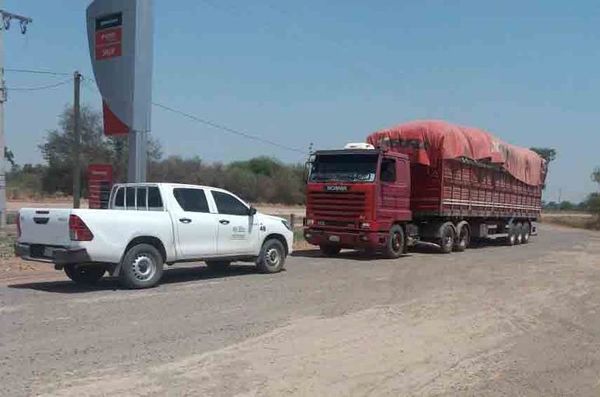 Camión sin documentos, pero lleno de carbón en Neuland - Nacionales - ABC Color