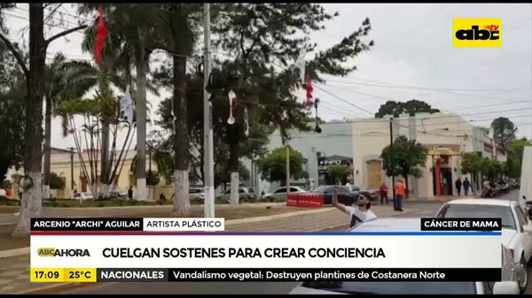 Cuelgan sostenes para crear conciencia - ABC Noticias - ABC Color