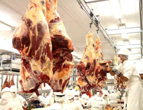 El volumen de exportación de carne tuvo una caída del 10,3%