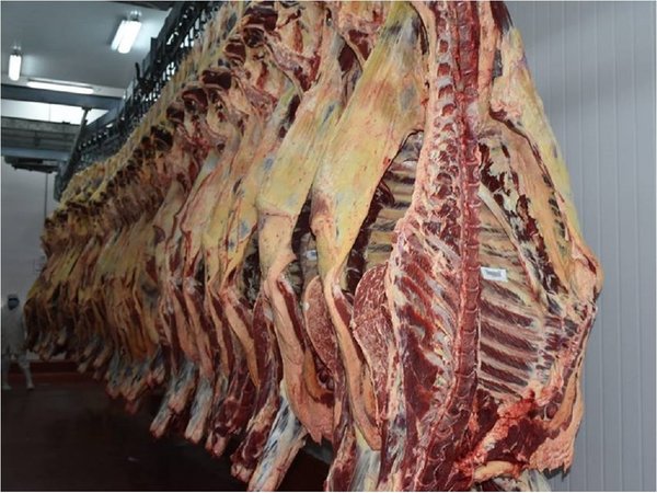 La carne experimenta la peor cifra de exportación de  los últimos 3 años