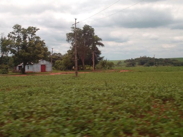 Las supuestas ayudas de Itaipú son invisibles para indígenas afectados