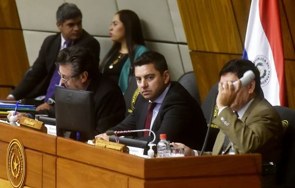 Alliana critica corrupción, pero “blinda” a diputados - Política - ABC Color