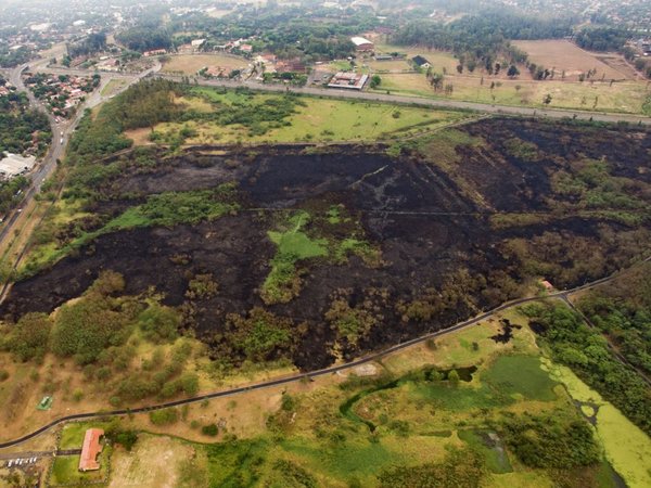Plantean cómo restaurar Parque Guasu tras gran impacto del fuego