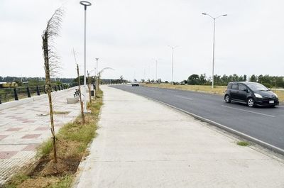 Vándalos destruyen 100 plantines en  Costanera - Locales - ABC Color