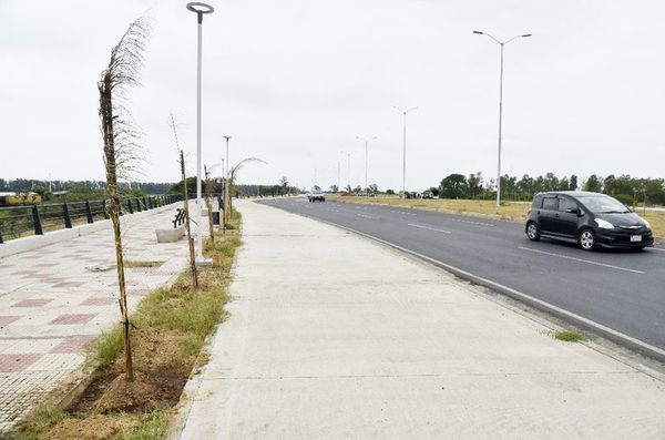 Vándalos destruyen 100 plantines en Costanera - Locales - ABC Color