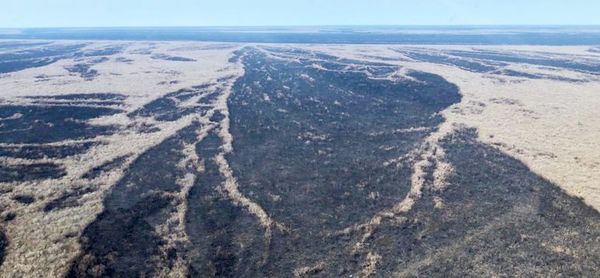 Esperan más lluvias “para ganar la guerra contra el fuego” en el Chaco - Interior - ABC Color