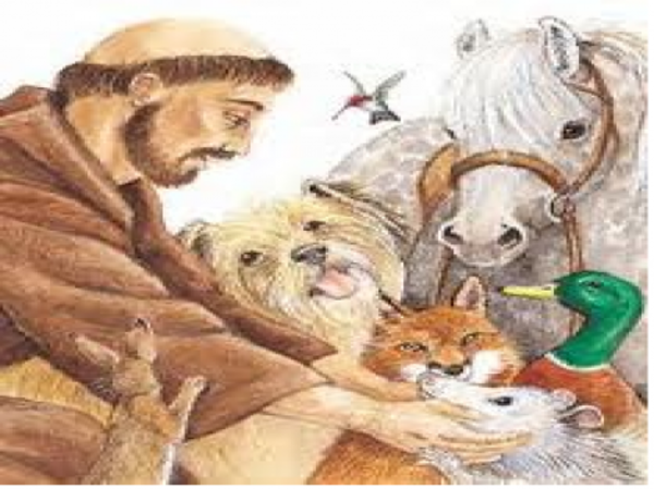 4 de octubre: Día de San Francisco de Asís, patrono de los animales » Ñanduti