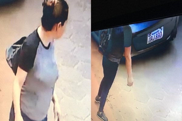 Filman a mujer robando una cartera de vehículo estacionado