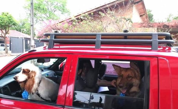 HOY / Capuchinos bendicen a las mascotas por día del animal