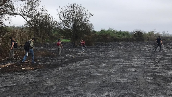 Hallaron animales de varias especies calcinados tras incendio en Parque Guasú