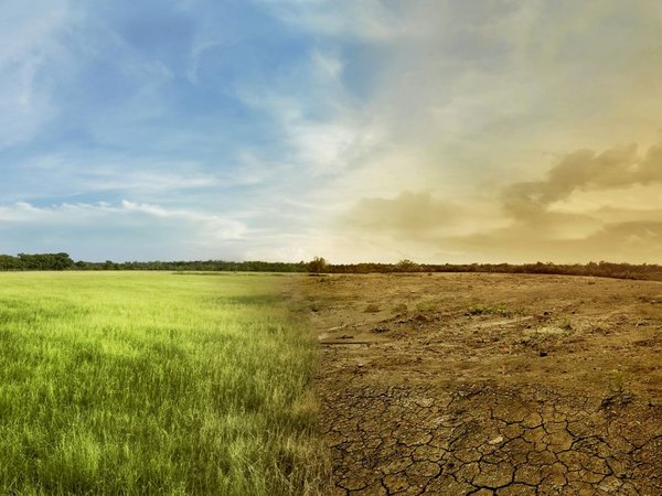 "Parar el cambio climático está en manos de poderosos"