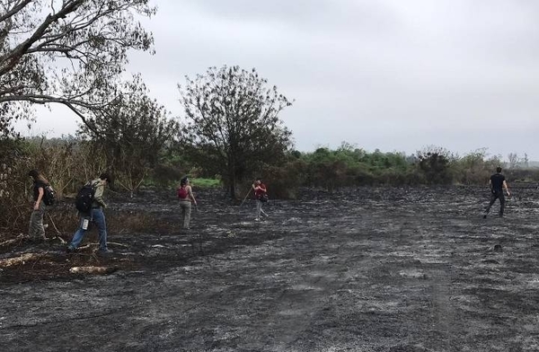 HOY / Murciélagos huyen de los incendios a capital y Central: pueden transmitir rabia, alertan