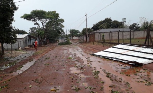 Árboles caídos, cables sueltos y corte de energía tras tormeta
