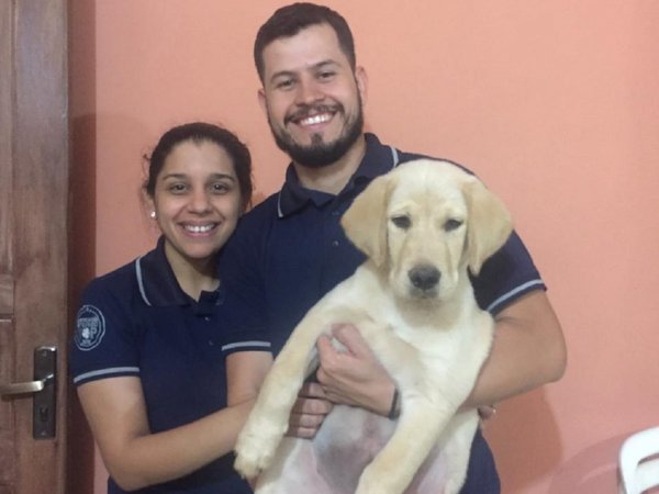 Happy, el cachorro robado en Luque, volvió con su familia