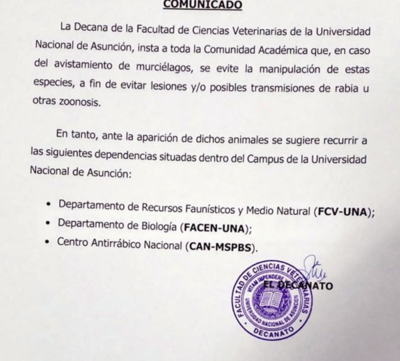 Autoridades de la UNA instan a no tocar a murciélagos