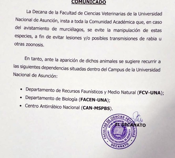 Autoridades de la UNA instan a no tocar a murciélagos