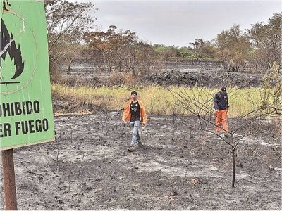 Cerca de 20 parques y reservas ya fueron afectados por  los incendios