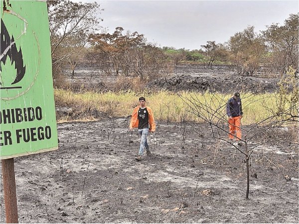 Cerca de 20 parques y reservas ya fueron afectados por los incendios