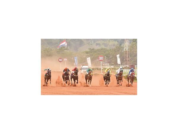 Turf: Corren la Triple Corona