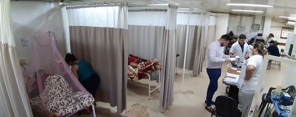 Nuevos casos de dengue en Central y barrios de Capital - Locales - ABC Color