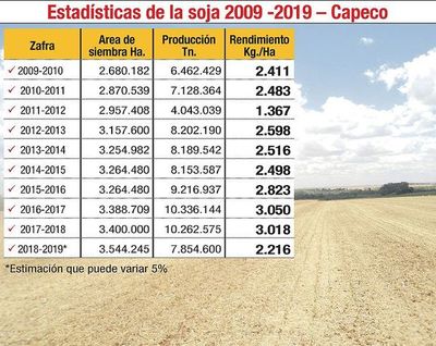 Pese al atraso,  la lluvia registrada   trajo alivio en    inicio de las siembras - Economía - ABC Color