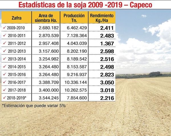 Pese al atraso, la lluvia registrada trajo alivio en inicio de las siembras - Economía - ABC Color
