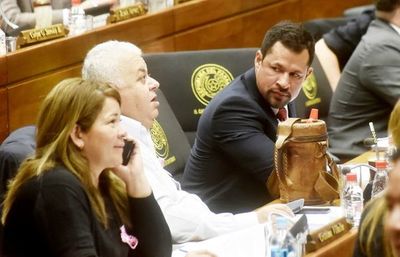 Diputados insisten en reglamentar expulsiones - Política - ABC Color