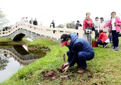 Plantan lapachos en el remozado  jardín taiwanés - Locales - ABC Color