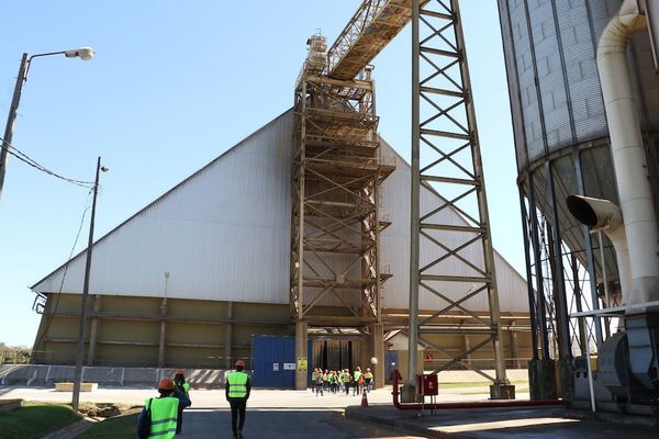 El Iracis registró un 19,8% más en las recaudaciones este año