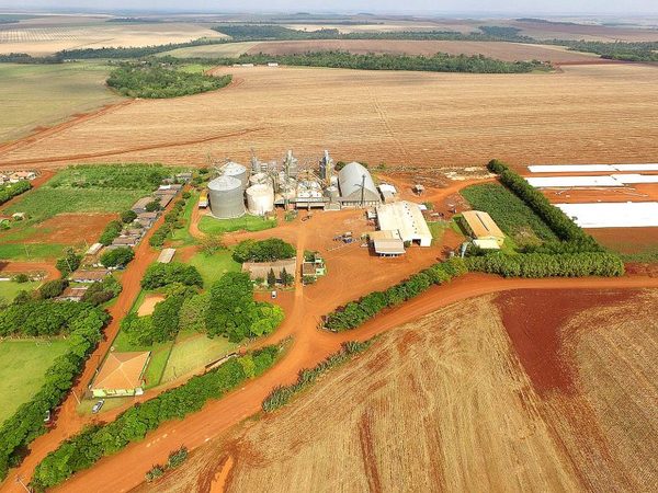 Lluvia trajo alivio y tranquilidad a los productores agrícolas del Alto Paraná