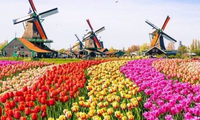 Se acerca el cambio: Esta será la denominación oficial de Holanda